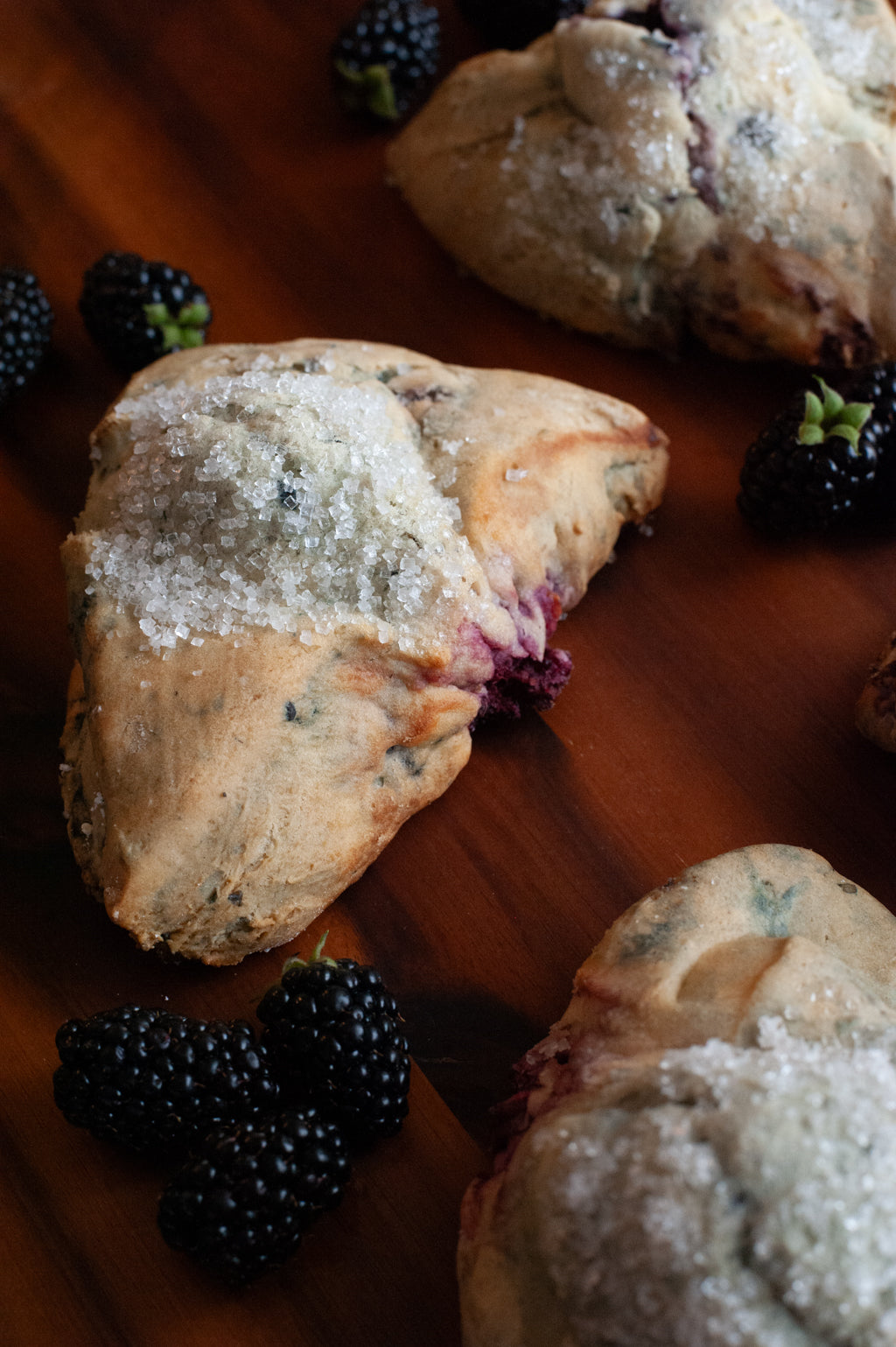 Scone - Blackberry (2PK)